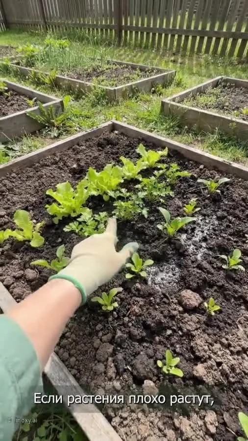 Виртуальная героиня рекламного ролика в саду